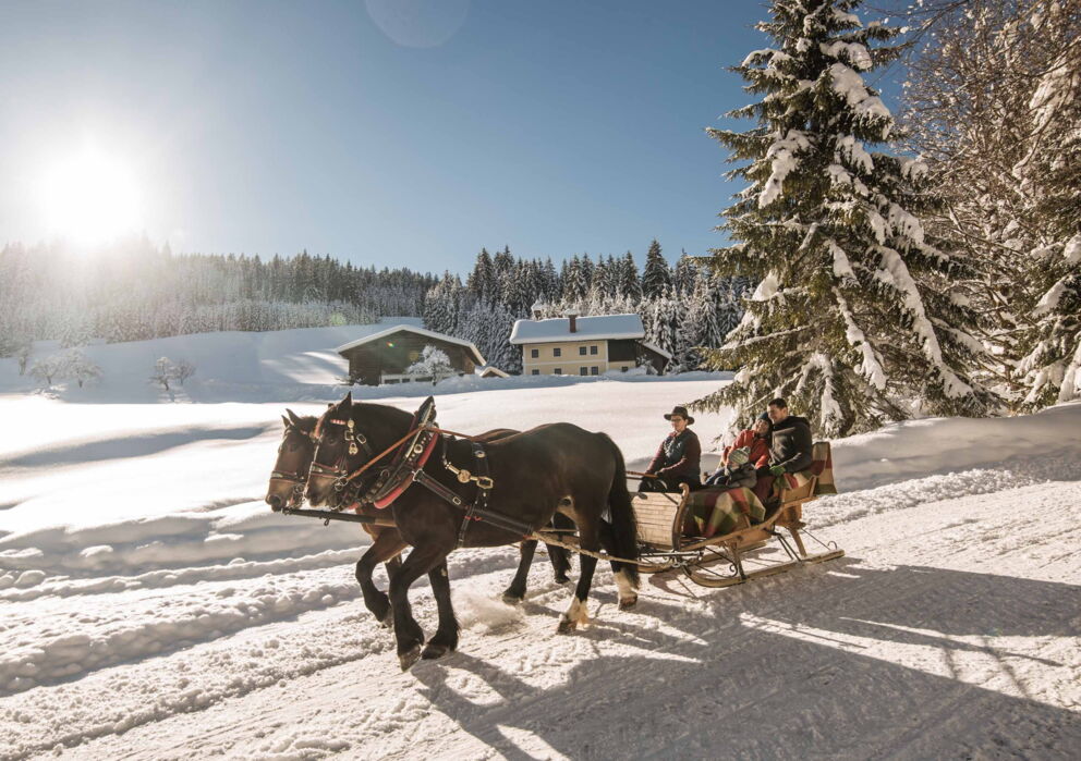 Two horses pull a slope