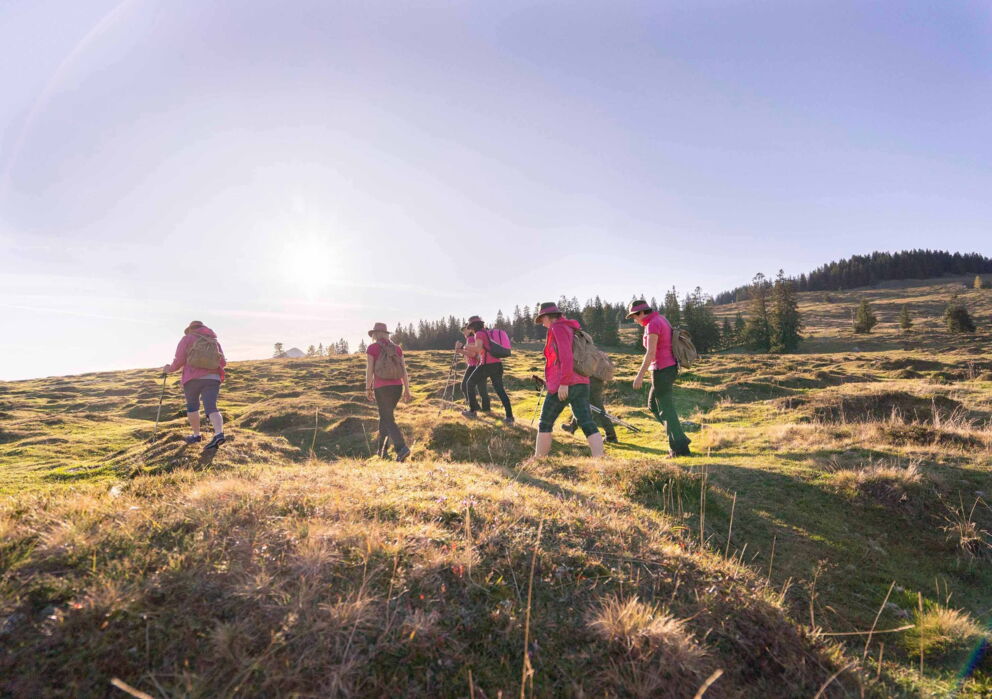 Mehrere Frauen auf einer Wanderung