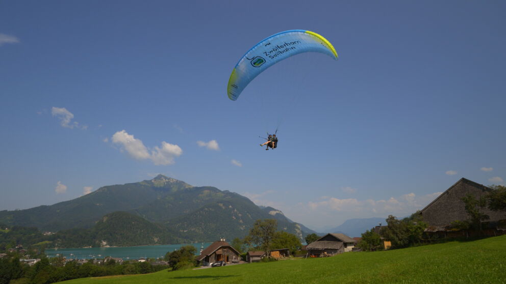 Zwei Tandem - Paragleiter fliegen über das schöne Salzkammergut.  ©Flugschule Salzkammergut
