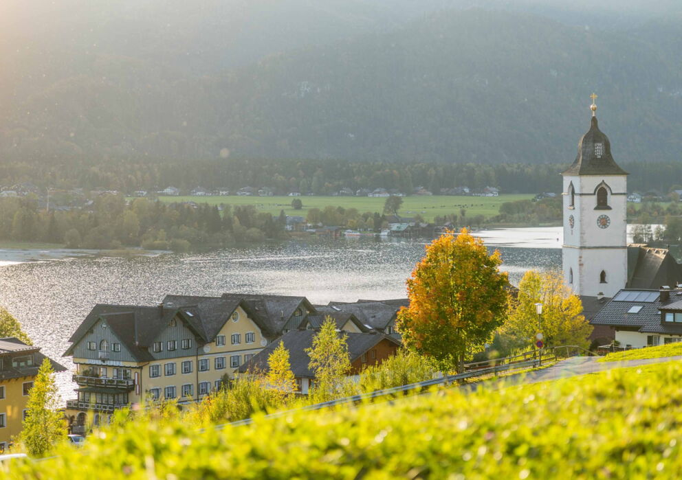 Erhöhte Aussicht von einer Wiese auf den Ort Sankt Wolfgang und den Wolfgangsee.