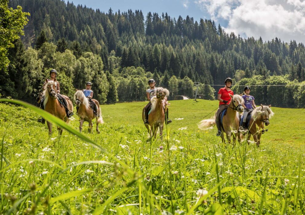 Genießen Sie Reitausflüge im Sommer © Salzburgerland Tourismus | Eva Maria Repolusk Mrazek / Evatrifft