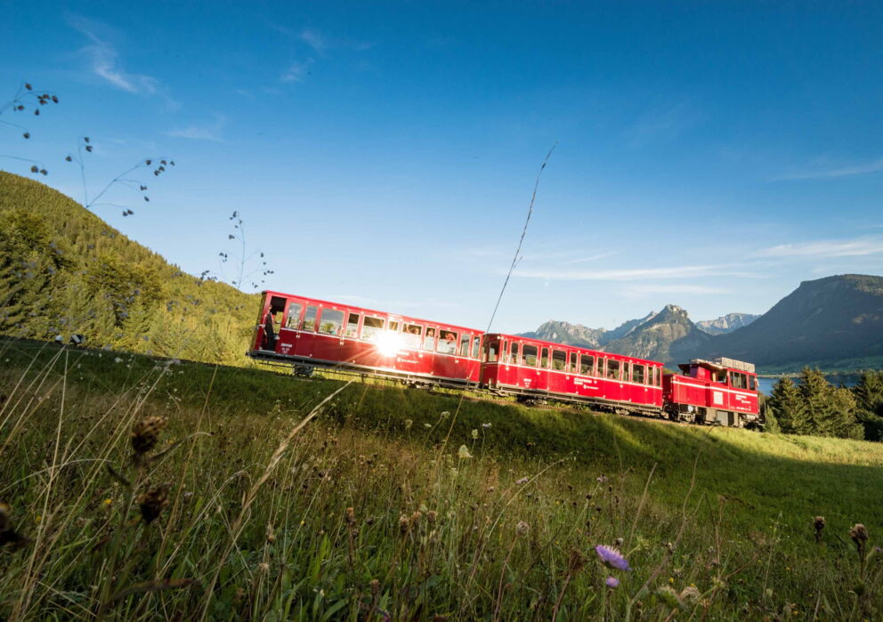 Den Schafberg hoch fahrende Schafbergbahn mit atemberaubendem Panoramablick