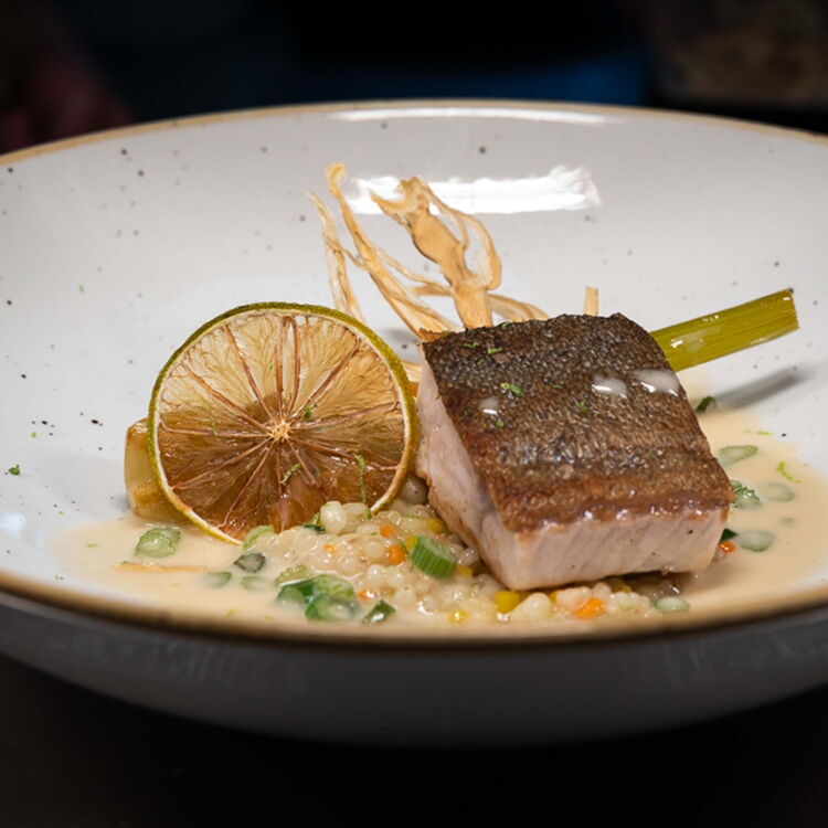 Kulinarischer Lachs mit Soße und Kräutern