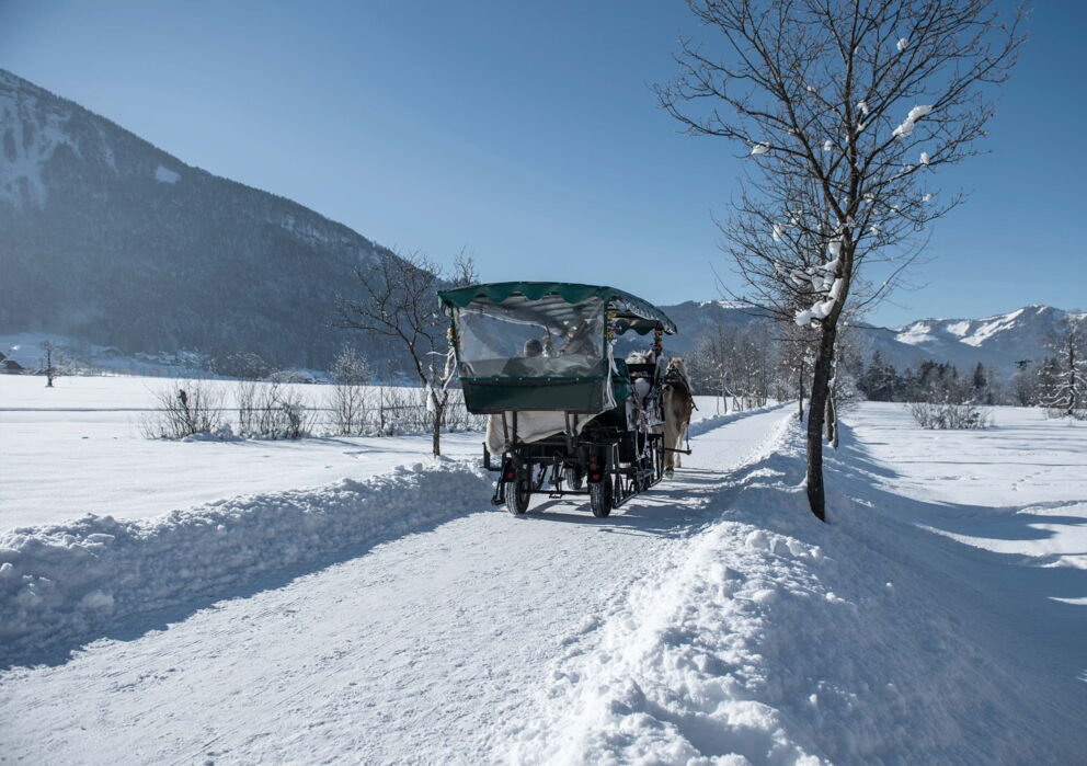 Pferdekutsche zu Weihnachten in Österreich in tief verschneiter Landschaft im Salzkammergut