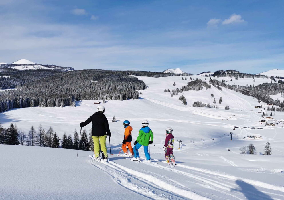 Kleine Gruppe am Skifahren im Tiefschnee abseits der Piste