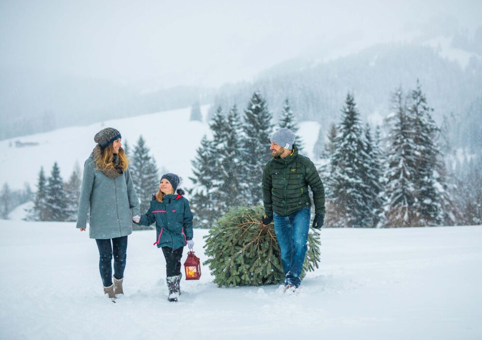Weihnachten am Wolfgangsee: Eine Familie geht durch den Schnee mit einem frischen Christbaum für das Österreichische Weihnachtsfest