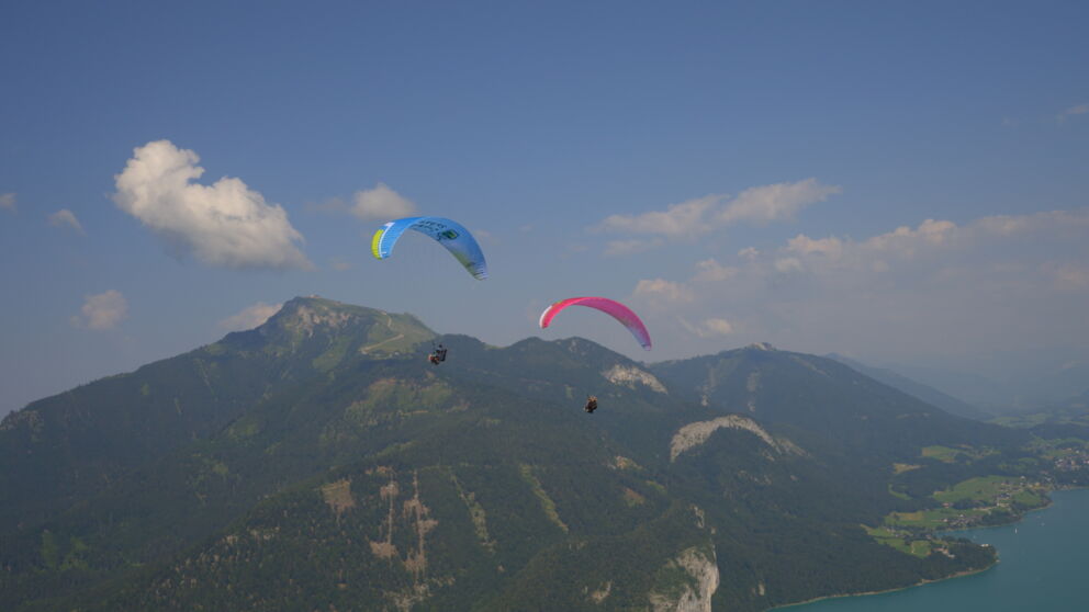 Man sieht zwei Paragleiter über dem Zwölferhorn gleiten. ©Flugschule Salzkammergut