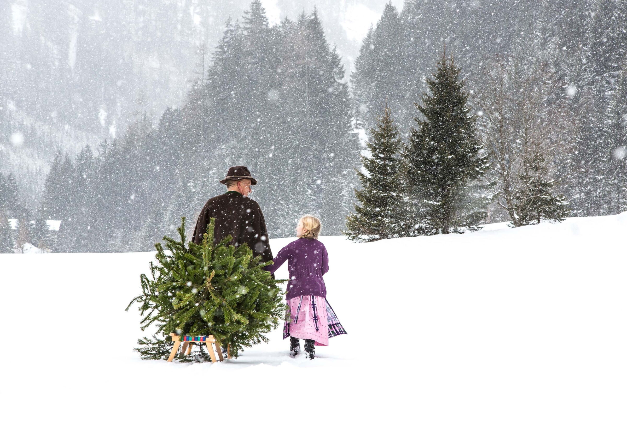 Weihnachten im Salzkammergut: Ein Mann und eine Mädchen gehen durch den Schnee und ziehen einen Christbaum auf einem Schlitten
