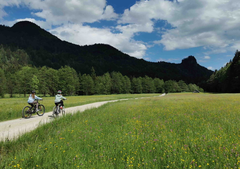 Children cycling on a small road in the middle of a large flower meadow