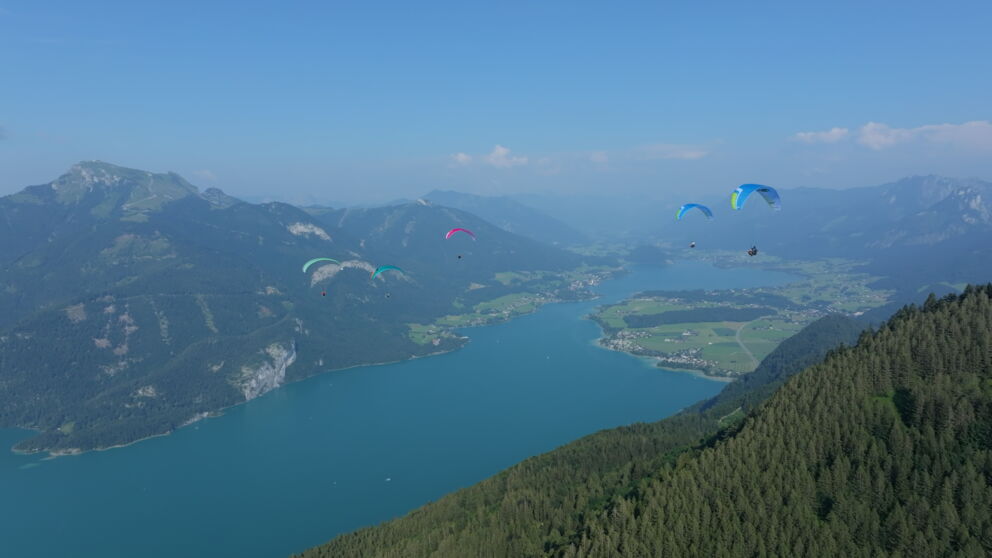 Mehrere Paragleiter sind zu sehen, sie fliegen über dem Wolfgangsee. ©Flugschule Salzkammergut