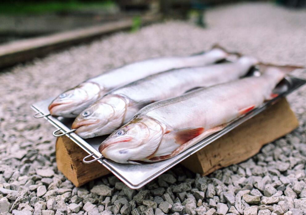 Köstlicher Fischspieß Im Weissen Rössl