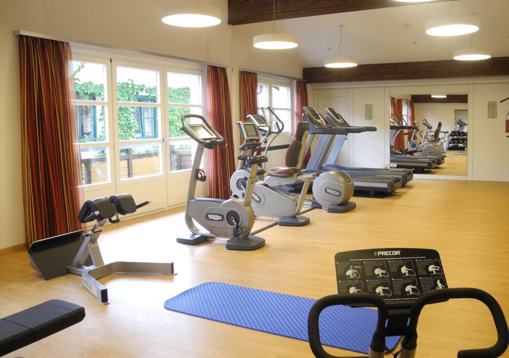 Gym at the Hotel Im Weissen Rössl.