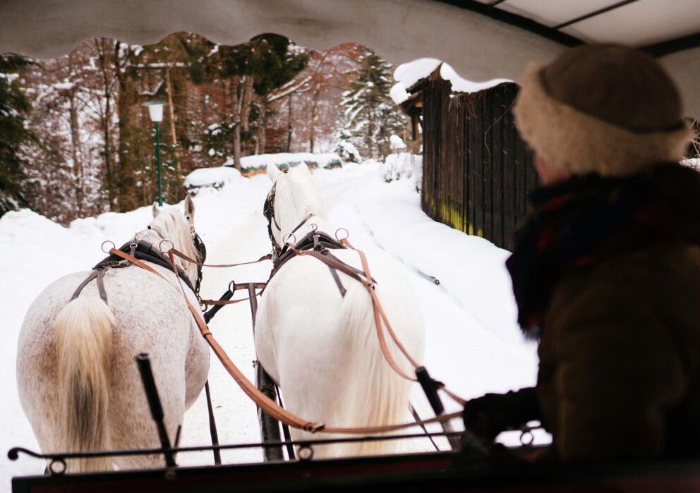 Eine Pferdekutsche im Schnee