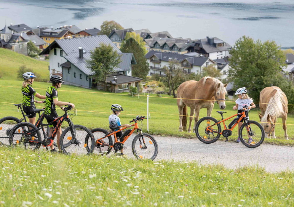 Family with bicycles on a small road admiring two horses