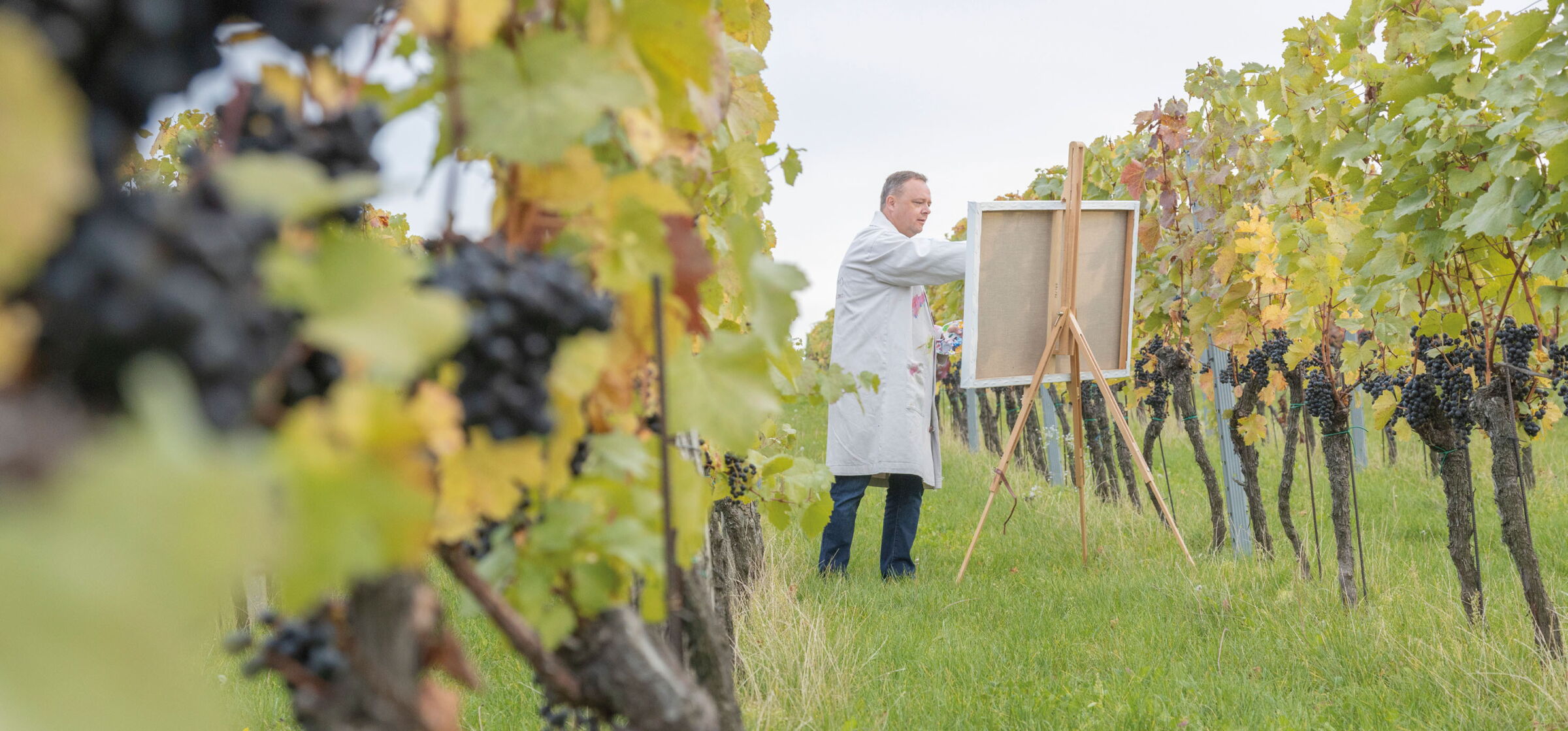 Malender Künstler in den Weinsträucher der Weinfelder des Weissen Rössels