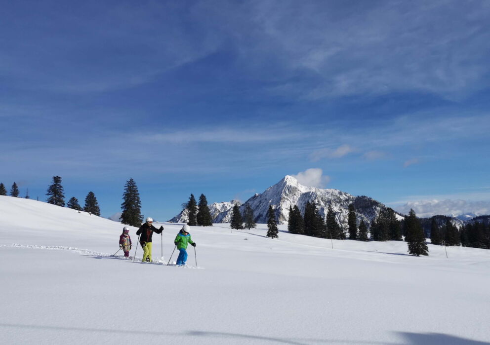 Eine kleine Gruppe auf einer Skitour in winterlichem Bergland