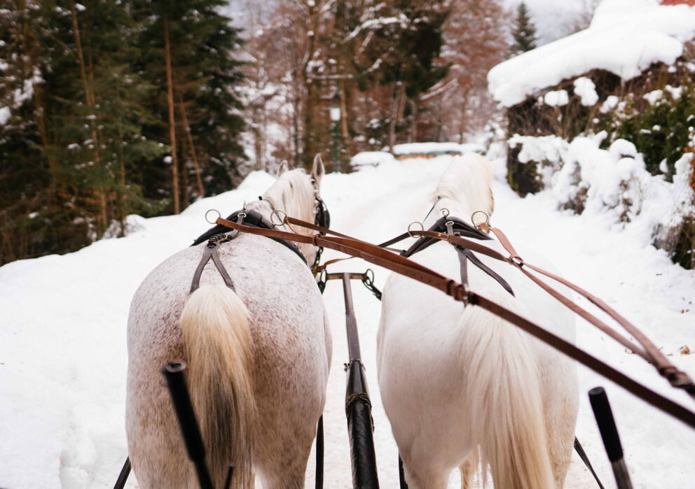 Zwei Pferde ziehen eine Kutsche durch den Schnee