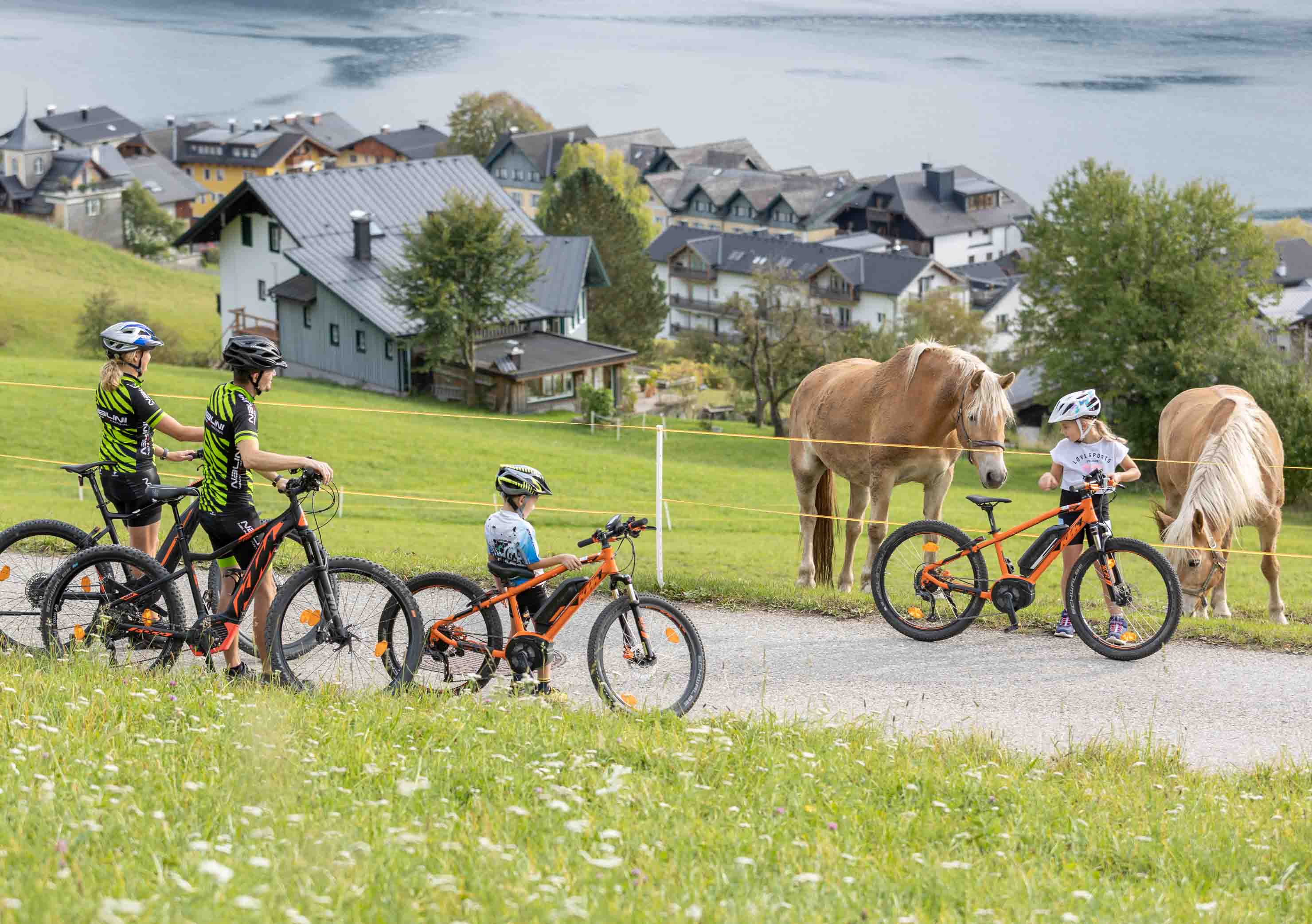 Family with bicycles on a small road admiring two horses